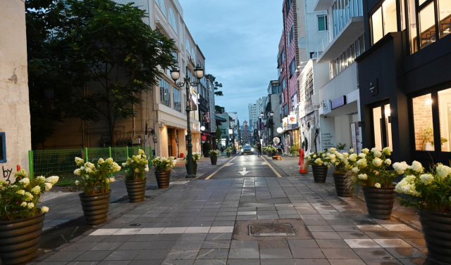 울산시 중구 문화의 거리 주변 시가지. 사진제공=울산시 중구