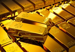 치솟는 금값·파킹형 인기에…ETN시장 '들썩'