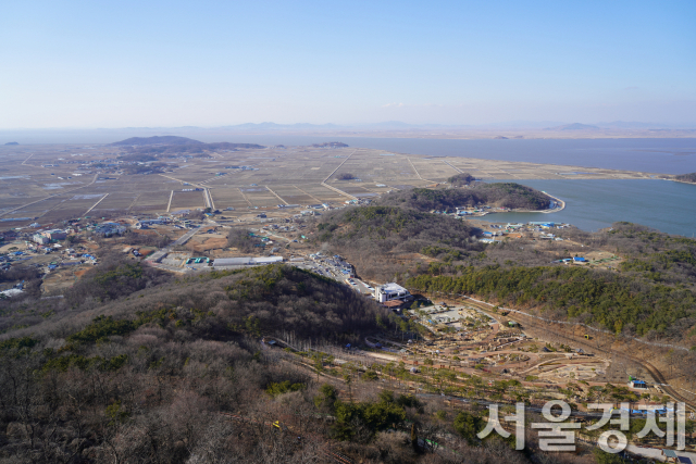 닿을 듯 닿지 않는 북녘…철새들만 넘나드네 [레저&]