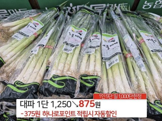 서울 서초구 농협 하나로마트 양재점에서 팔고 있는 대파 가격. 사진=하나로마트 양재점 온라인 전단지 캡처