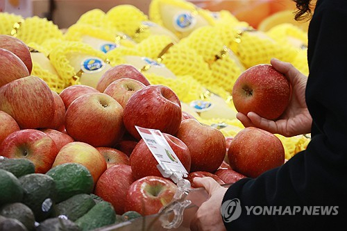 사과와 배 소매가격이 정부의 대규모 할인 지원과 유통업계 행사 등으로 일시적으로 하락세로 돌아섰다. 19일 한국농수산식품유통공사(aT) 농산물유통정보에 따르면 전날 배(신고·상품) 10개 소매가격은 4만1551원으로 전 거래일(4만5381원)보다 8.4% 내렸다. 사과(후지·상품) 10개 소매가격도 전날 2만4148원으로 전 거래일(2만7424원)보다 11.9%나 하락했다. 사진은 이날 서울 시내 한 대형마트에서 사과를 고르는 시민. 연합뉴스