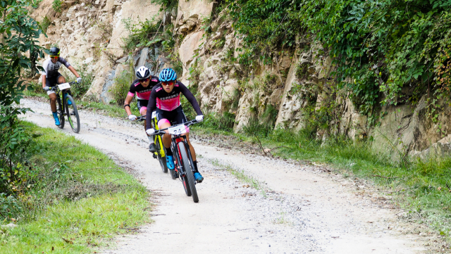산림레포츠의 하나로 산악자전거가 인기를 끌고 있다. 사진제공=산림청