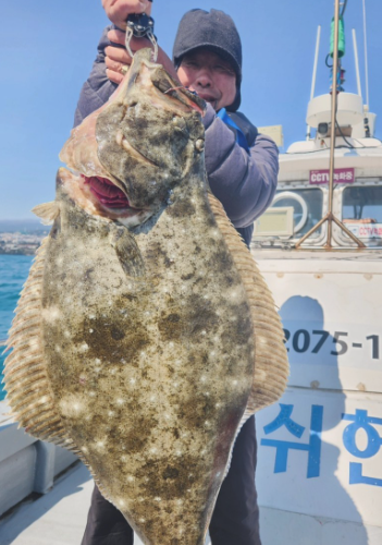 지난 12일 오전 제주 서귀포시 범섬 인근에서 몸길이 1m의 광어를 잡은 장영준(66)씨. 연합뉴스