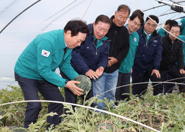 박완수(왼쪽) 경남도지사가 26일 함안지역 수박재배농가를 방문해 생육상황을 살펴보고 있다. 사진제공=경남도