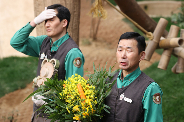 지난 3일 오전 경기 용인시 에버랜드 판다월드에서 다음 달 중국으로 돌아가는 자이언트 판다 '푸바오'의 마지막 공개에 앞서 강철원 사육사가 푸바오를 소개하고 있다. 사진=공동취재단