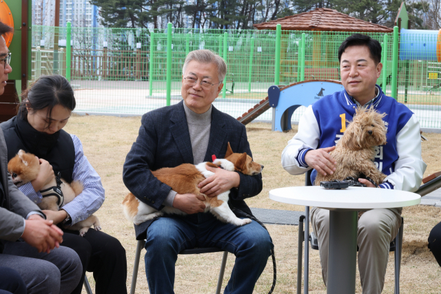 문재인 전 대통령이 지난 22일 오후 경남 양산시 유기동물보호소와 반려동물지원센터를 찾아 유기견을 돌보고 간담회를 갖고 있다. 연합뉴스