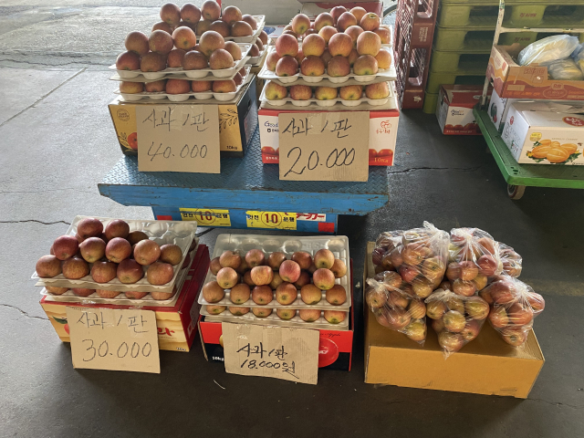 27일 서울 송파구 가락농수산물종합도매시장 내 과일 소매업체가 사과를 판매하고 있다. 김남명 기자