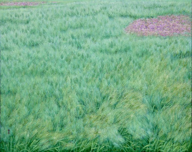 분홍빛 장다리꽃이 있는 보리밭, 1981(2022년 개작), 162.1x130.3cm 사진제공=선화랑