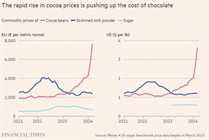 코코아 가격 급등…제과업계, 대체재 찾기 안간힘