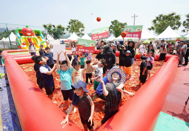 퇴촌 토마토 축제의 최고 즐걸거리 '토마토 풀'에서 즐거운 한때를 보내고 있는 아동들. 사진 제공 = 광주시