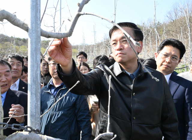 최상목 부총리 겸 기획재정부 장관이 1일 대구광역시 군위군 소재한 사과 생산 농가를 방문, 올해 사과 생육 관련 현황과 개화기 저온피해 대응 상황을 살펴 보고 애로사항을 청취하고 있다. 사진 제공=기획재정부