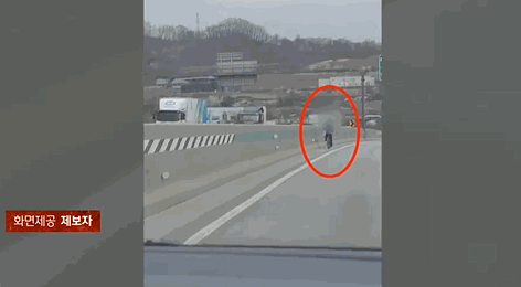 지난달 30일 경부고속도로 대전나들목에서 한 남성이 자전거를 타고 주행하는 모습. 사진=JTBC 사건반장 캡처