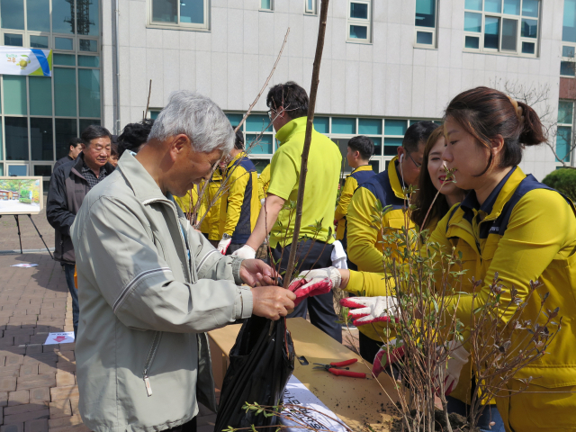 국립자연휴양림관리소 직원들이 지난해 식목일에 지역주민들에게 반려나무를 나눠주고 있다. 사진제공=국립자연휴양림관리소