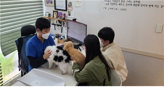 서울 성동구의 한 동물병원에서 반려동물의 진료를 받고 있는 모습. 사진 제공=서울 성동구