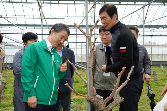 남성현(왼쪽 첫번째) 산림청장이 경기도 안성소재 대추 재배 임가 ‘주주바팜’ 방문해 대추나무를 살펴보고 있다. 사진제공=산림청