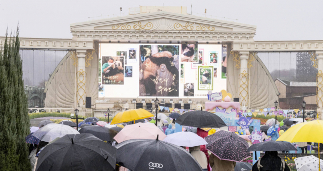 3일 경기도 용인 에버랜드에서 푸바오 배웅을 마친 시민들이 푸바오 특별 영상을 관람하고 있다..사진 제공=에버랜드