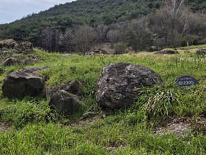 수달·담비 서식하는 고창 운곡습지…4월 ‘이달의 생태관광지’에 가다