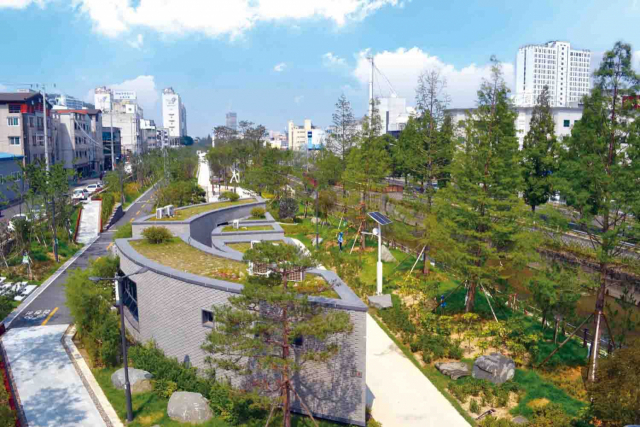 철도 폐선부지에 조성한 포항 철길 도시숲. 사진제공=산림청