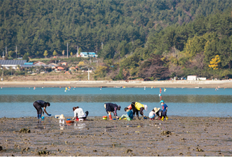 경남 남해군 전도마을을 찾은 관광객이 조개잡기 체험활동을 하고 있다. 사진제공=경남도