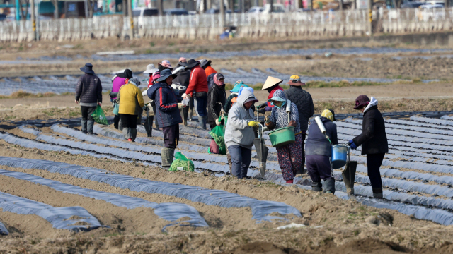 “농번기 일손 공급”…올해 단기 계절근로자 4만 5600명 투입