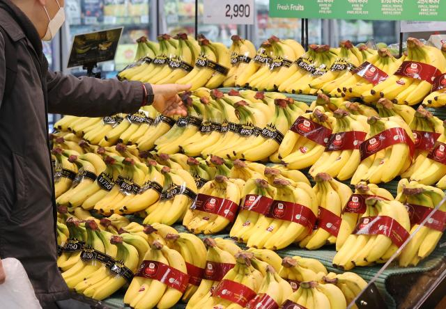 서울 시내 한 대형마트 매대에 바나나가 진열돼있다. 연합뉴스