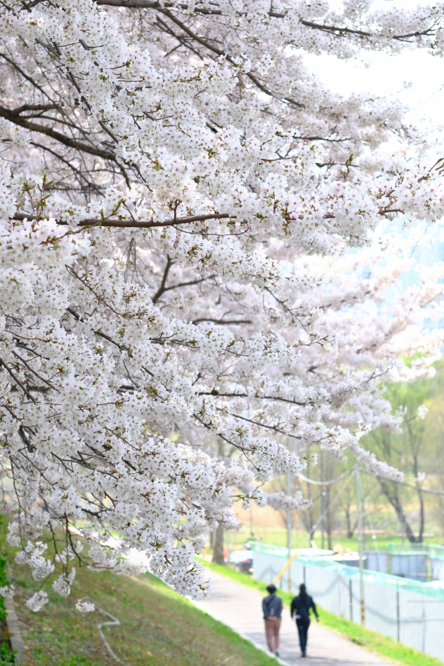 5일 오후 서울 영등포구 안양천 산책로에서 시민들이 산책하고 있다. 연합뉴스