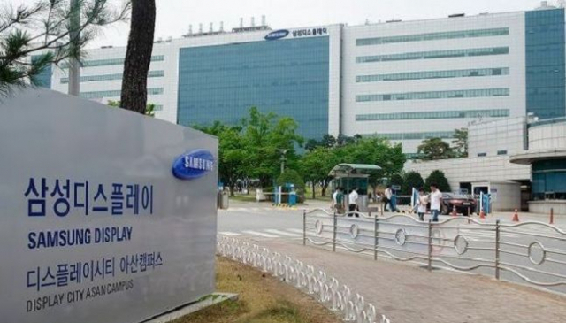LGD, 50조 '중소형 OLED' 2위 탈환…한국 패권 세졌다