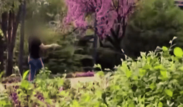 한 남성이 공원에서 낚싯대를 휘두르고 있다. JTBC 사건반장 캡처