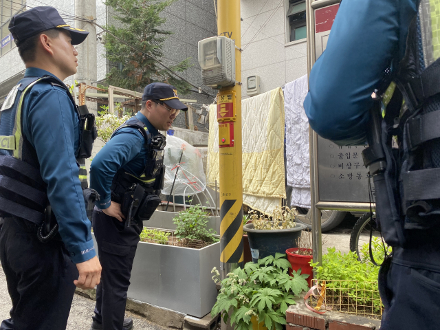 16일 기동순찰대원이 서울 종로구의 한 쪽방촌 인근에 설치된 비상벨을 점검하고 있다. 이승령 기자