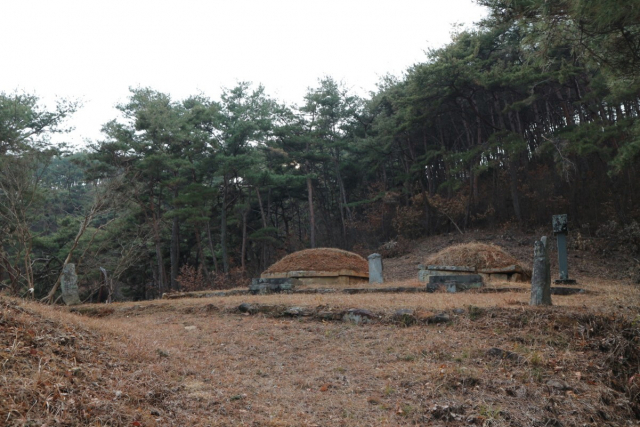 경남도가 도 기념물로 지정 예고한 이오 부부 묘역. 사진제공=경남도