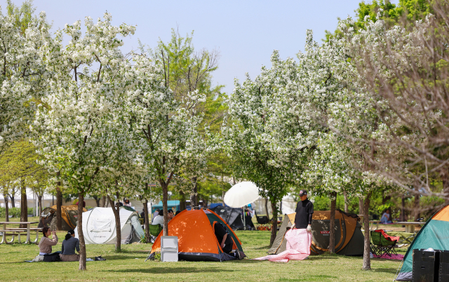 서울 지역 낮기온이 25도를 기록하는 등 초여름 날씨를 보인 18일 오후 서울 여의도 한강공원을 찾은 시민들이 텐트를 치고 나들이를 즐기고 있다.연합뉴스