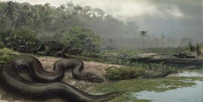 '최대 길이 15m' 지구 역사상 가장 큰 뱀?…'4700만 년 전 인도에 서식'