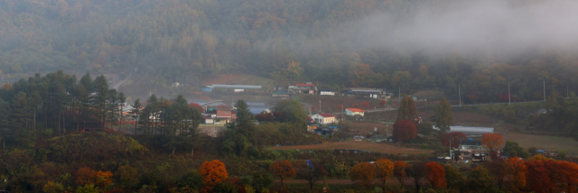 가을 색으로 물들고 있는 강원도 산골 마을의 한적한 모습. /연합뉴스