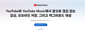 유튜브 프리미엄發 '스트림플레이션'…제휴 상품도 구독료 인상