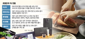 "신제품 출시에 카톡 판매 덕분"… 호텔 PB 매출 '쑥'