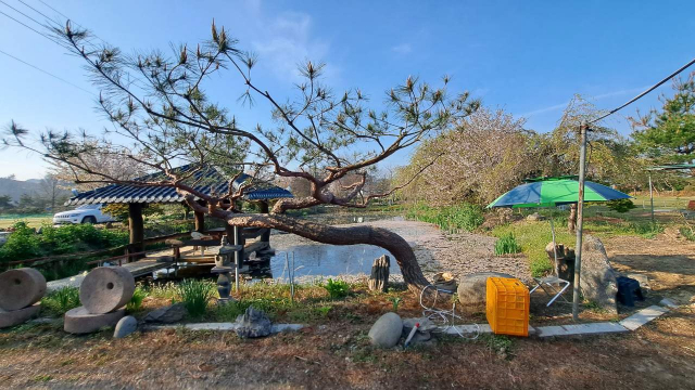 파크골프시대 구장 한편에 마련된 작은 연못과 원두막. 구장 제공
