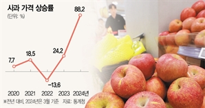 [단독]金사과, 대형마트서 이젠 ‘1개씩’ 구매 가능해진다