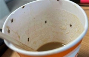 공항 자판기 커피 마시고 죽을 뻔한 20대女…"컵에 벌레가 우글우글"