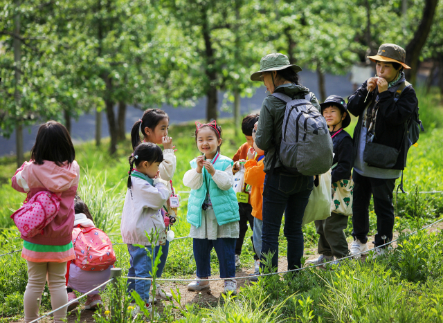 국립대전숲체원에서 어린이들을 대상으로 숲체험 프로그램이 운영되고 있다. 사진제공=산림청