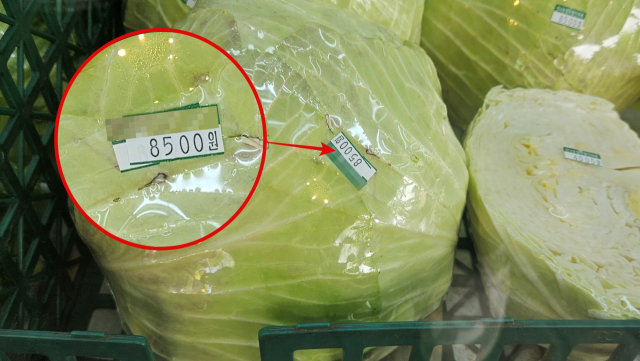 26일 서울 영등포구의 한 마트에서 양배추가 8500원에 판매되고 있다. 사진=채민석 기자
