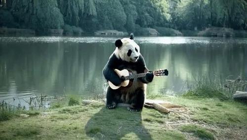 '중국 간 푸바오 기타를 치네?'…中, 영상 생성 AI 소라 대항마 '비두' 공개