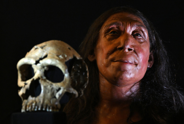 영국의 연구팀이 7만5000년 전 사망한 것으로 추정된 네안데르탈인 여성 '샤니다르 Z'의 얼굴을 최근 공개했다. AFP연합뉴스
