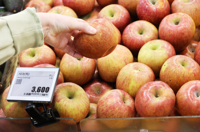 쇼핑객이 3월 31일 서울 시내의 한 대형마트에서 사과를 고르고 있다. 연합뉴스
