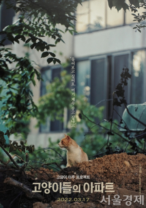 다큐멘터리 영화 ‘고양이들의 아파트’ 포스터. 사진 제공=국립민속박물관