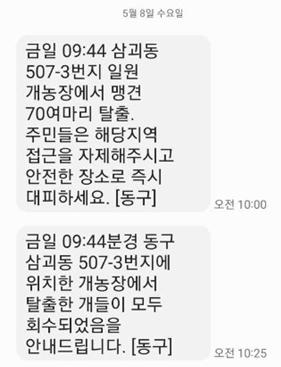 '맹견 70마리 탈출' 긴급 재난문자…25분 뒤 '소형견 2마리 회수'