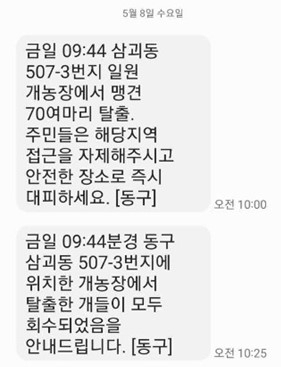 대전 동구가 ‘맹견 70여마리 탈출’ 재난문자에 이어 개 회수 문자를 보냈다. 사진=SNS 캡쳐