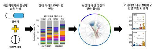 항생제·위산억제제 병용, 내성균 감염위험 높인다