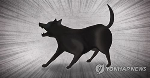 [속보] 대전 동구 일대 맹견 70마리 탈출…‘주민 대피’ 재난문자