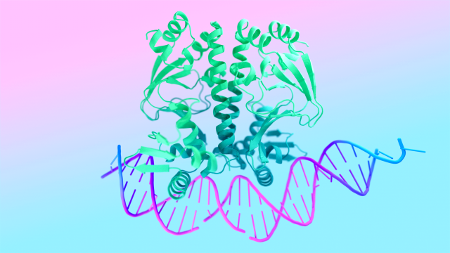 ‘알파폴드’를 활용한 단백질 구조 예측 결과. 사진 제공=구글 딥마인드