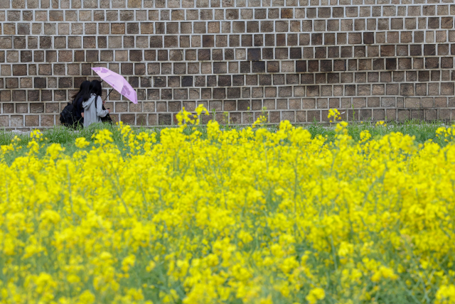 서울 전역에 비가 내린 지난 7일 오후 서울 종로구 송현동공원 인근에서 시민들이 우산을 쓰고 이동하고 있다. 연합뉴스